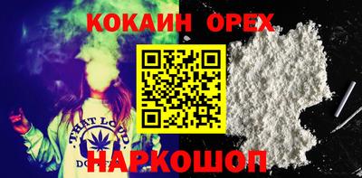 сатива Новодвинск