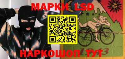 шишки Обь