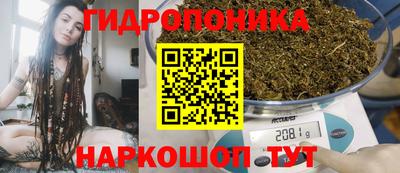 сатива Новодвинск