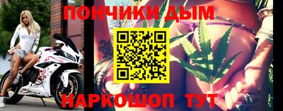 сатива Новодвинск