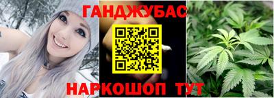 сатива Новодвинск