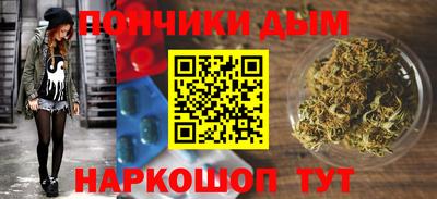 сатива Новодвинск